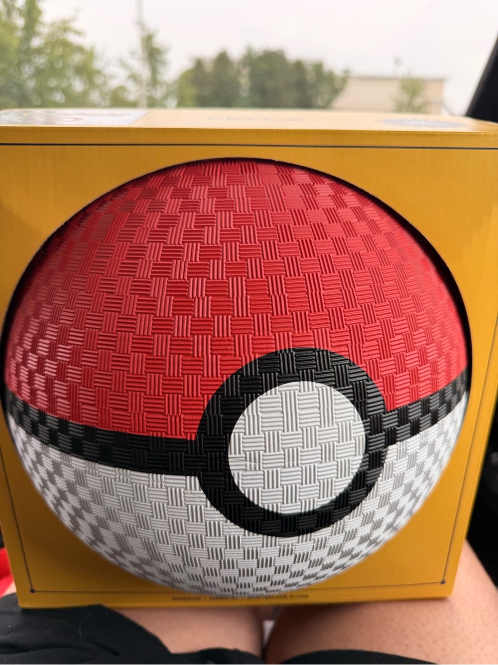 Pokemon x Target kickball